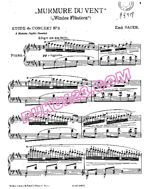 天天钢琴网-免费下载Sauer - Etudes de Concert No.3, Mumure du Vent