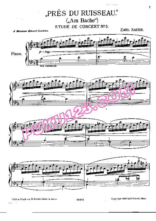 天天钢琴网-免费下载Sauer - Etudes de Concert No.5, Près du Ruisseau