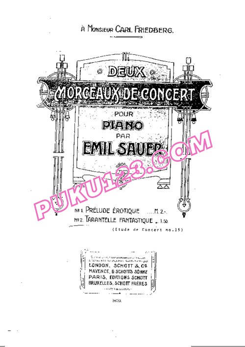 天天钢琴网-免费下载Sauer - Etudes de Concert No.15, Tarentelle Fantastique