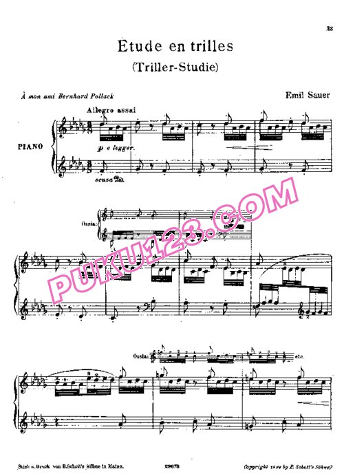 天天钢琴网-免费下载Sauer - Etudes de Concert No.16, Etudes en Trilles