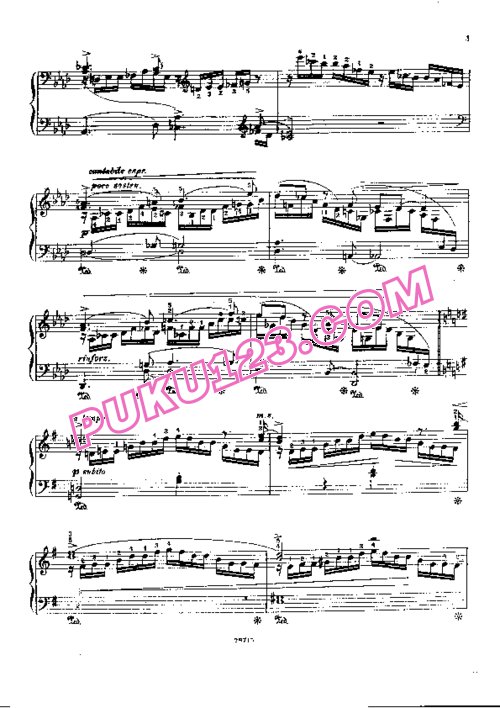 天天钢琴网-免费下载Sauer - Etudes de Concert No.17, Les Sirenes