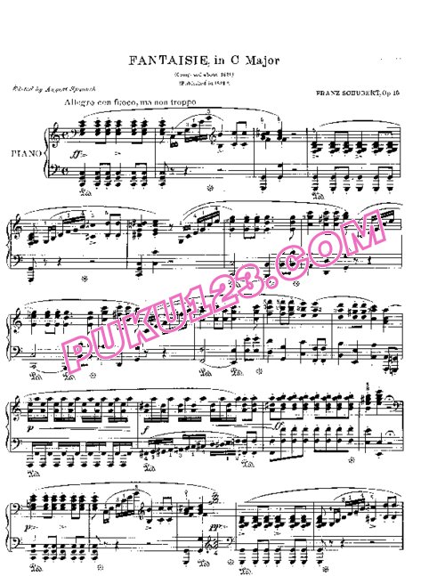 天天钢琴网-免费下载Schubert - Wanderer Fantasy in C Major D.760