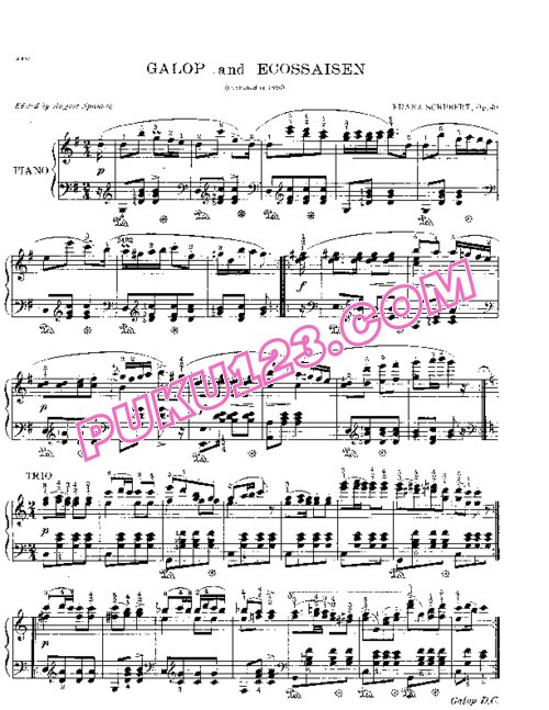 天天钢琴网-免费下载Schubert - Galop und Ecossaise D.735
