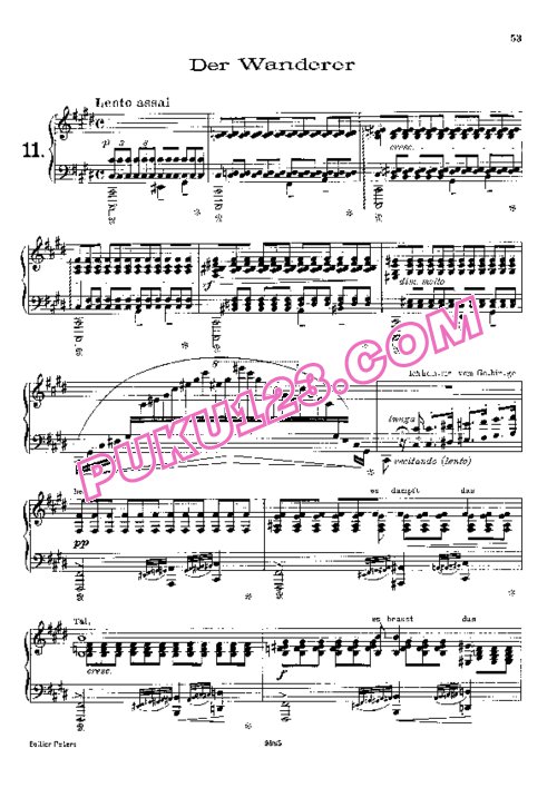 天天钢琴网-免费下载Liszt - Transcription - Schubert - Song 11 - Der Wanderer 李斯特改编钢琴独奏版