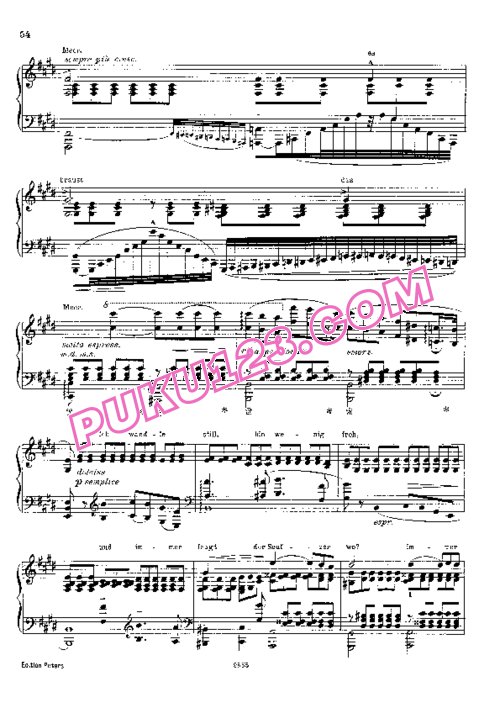 天天钢琴网-免费下载Liszt - Transcription - Schubert - Song 11 - Der Wanderer 李斯特改编钢琴独奏版