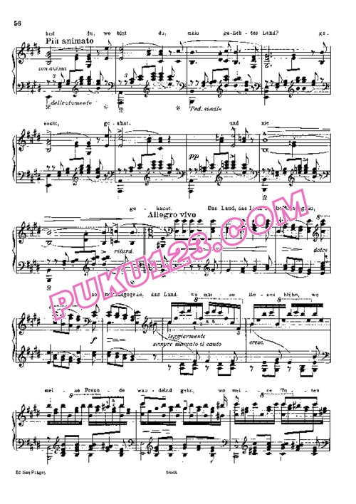 天天钢琴网-免费下载Liszt - Transcription - Schubert - Song 11 - Der Wanderer 李斯特改编钢琴独奏版