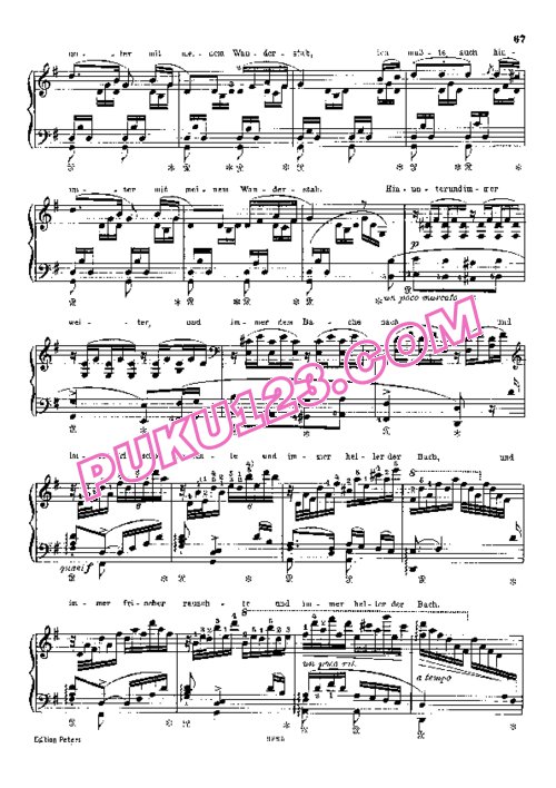天天钢琴网-免费下载Liszt - Transcription - Schubert - Song 13 - Wohin 李斯特改编钢琴独奏版