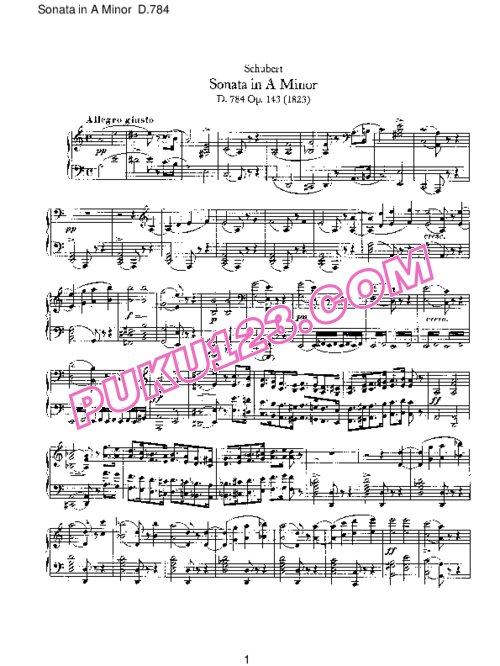 天天钢琴网-免费下载Schubert - Piano Sonata No.14 in a Minor D.784