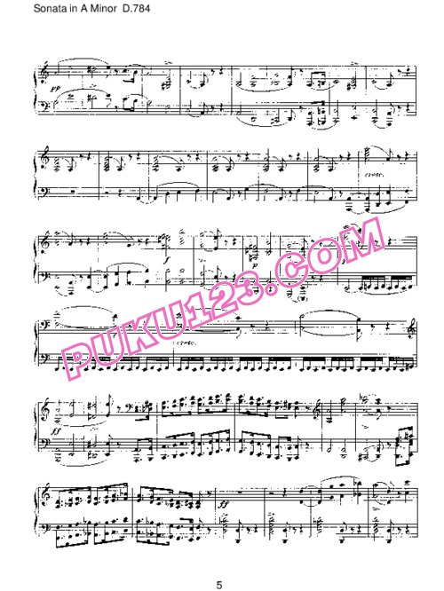 天天钢琴网-免费下载Schubert - Piano Sonata No.14 in a Minor D.784