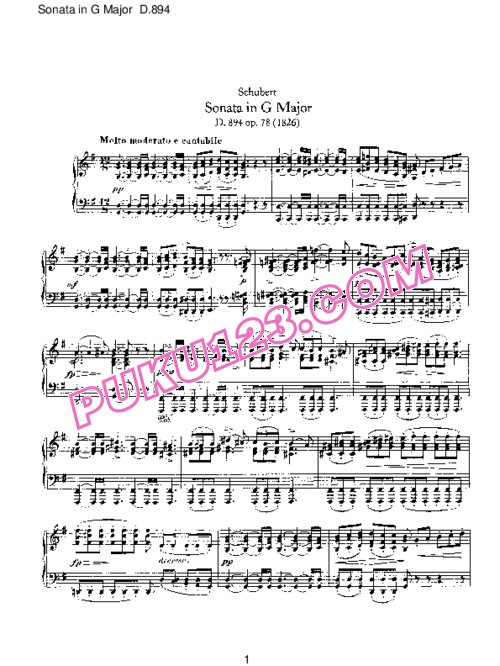 天天钢琴网-免费下载Schubert - Piano Sonata No.18 in G Major D.894