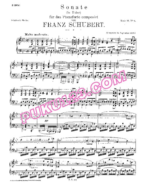 天天钢琴网-免费下载Schubert - Piano Sonata No.21 in B-flat Major D.960