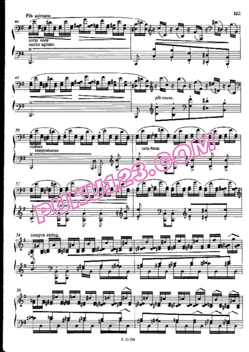 天天钢琴网-免费下载Liszt - Schubert - Der Lindenbaum S.561 李斯特改编钢琴独奏版