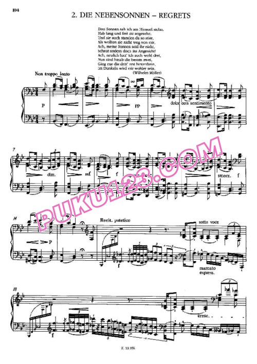 天天钢琴网-免费下载Liszt - Schubert - Die Nebensonnen from Winterreise S.561-2 李斯特改编钢琴独奏版
