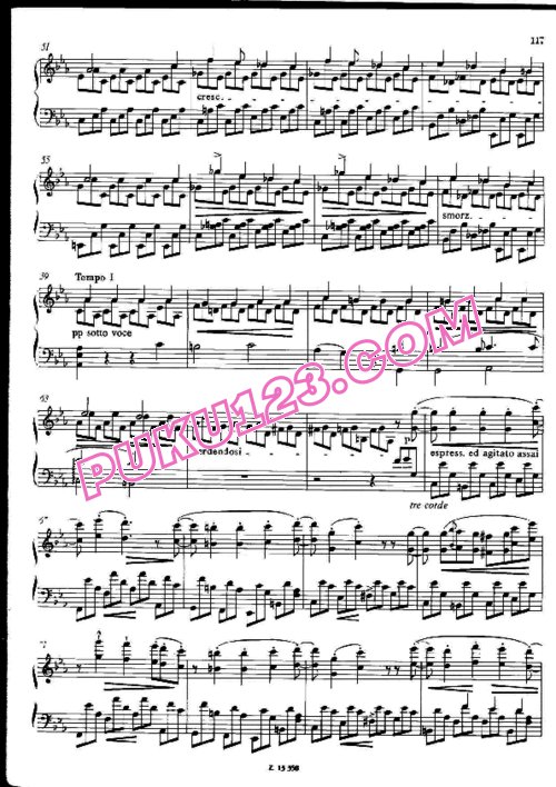 天天钢琴网-免费下载Liszt - Schubert - Erstarrung from Winterreise S.561-5 李斯特改编钢琴独奏版