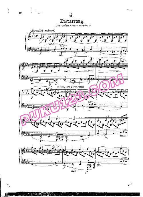 天天钢琴网-免费下载Schubert - Wittmann - Erstarrung from Winterreise D.911 维特曼改编钢琴独奏版