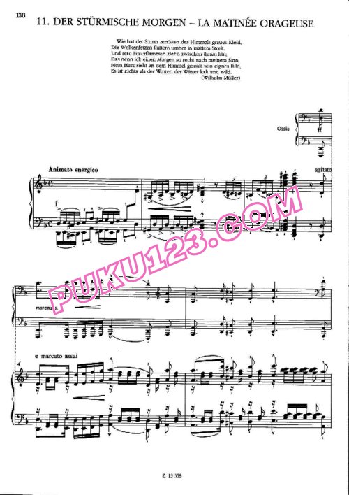 天天钢琴网-免费下载Liszt - Schubert - Der Sturmische Morgen from Winterreise S.561-11 李斯特改编钢琴独奏版