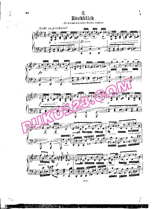 天天钢琴网-免费下载Schubert - Wittmann - Ruckblick from Winterreise D.911 维特曼改编钢琴独奏版
