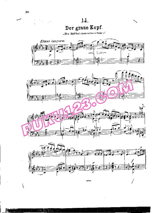 天天钢琴网-免费下载Schubert - Wittmann - Der Greise Kopf from Winterreise D.911 维特曼改编钢琴独奏版