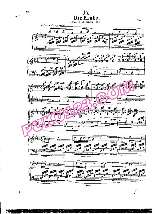 天天钢琴网-免费下载Schubert - Wittmann - Die Krahe from Winterreise D.911 维特曼改编钢琴独奏版