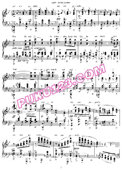 天天钢琴网-免费下载Schubert - Liszt - Sei mir gegrusst D.741 李斯特改编钢琴独奏版
