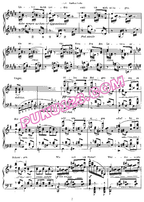 天天钢琴网-免费下载Schubert - Liszt - Rastlose Liebe D.138 李斯特改编钢琴独奏版
