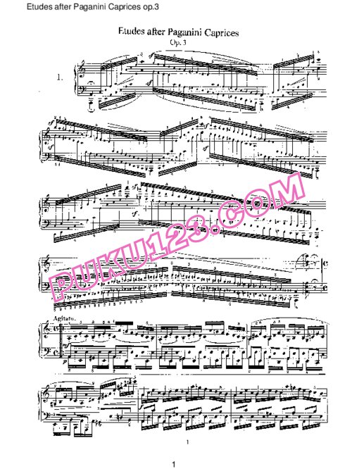 天天钢琴网-免费下载Schumann - Etudes after Paganini Caprices Op.3