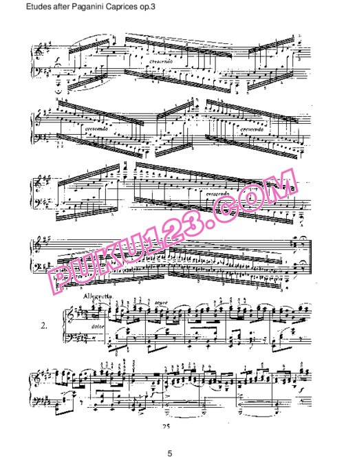 天天钢琴网-免费下载Schumann - Etudes after Paganini Caprices Op.3