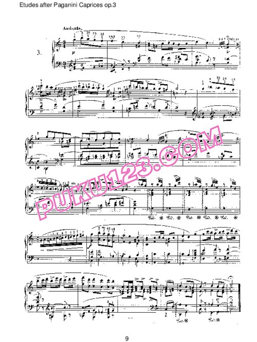 天天钢琴网-免费下载Schumann - Etudes after Paganini Caprices Op.3