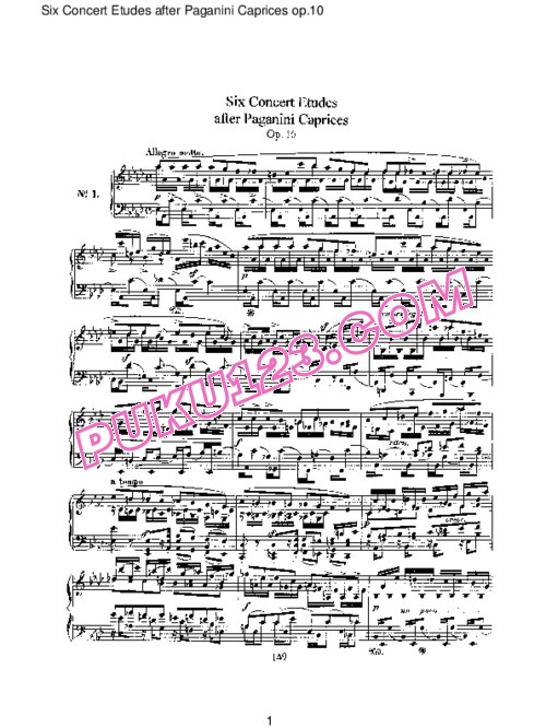 天天钢琴网-免费下载Schumann - Concert Etudes after Paganini Caprices Op.10
