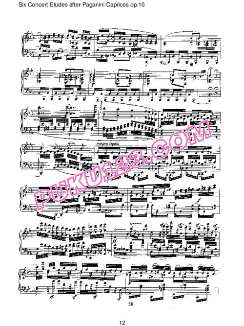 天天钢琴网-免费下载Schumann - Concert Etudes after Paganini Caprices Op.10