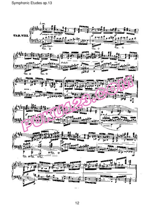 天天钢琴网-免费下载Schumann - Symphonic Etudes Op.13