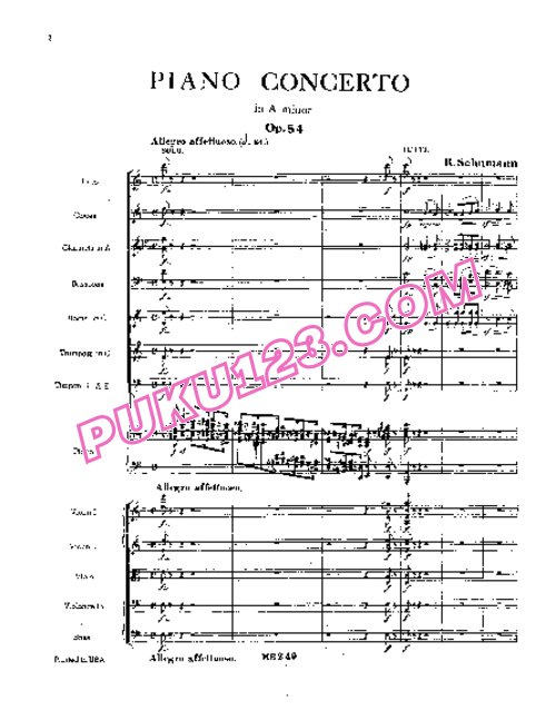 天天钢琴网-免费下载Schumann - Piano Concerto in a Minor Op.54 - Full Score