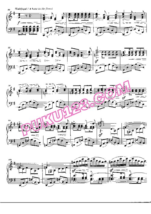 天天钢琴网-免费下载Smetana - Lechner - Moldau - Solo Piano