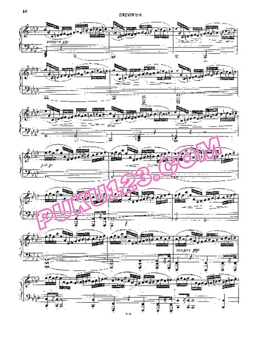 天天钢琴网-免费下载Smetana - Má Vlast - 4 Hands 全曲钢琴四手联弹版