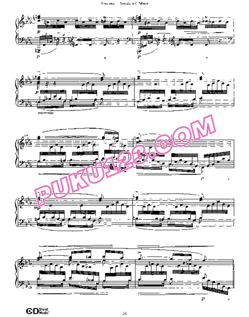 天天钢琴网-免费下载Smetana - Piano Sonata in g Minor