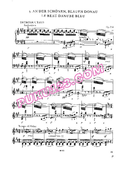 天天钢琴网-免费下载Strauss - An Der Schonen Blauen Donau, Walzer Op.314 钢琴独奏版