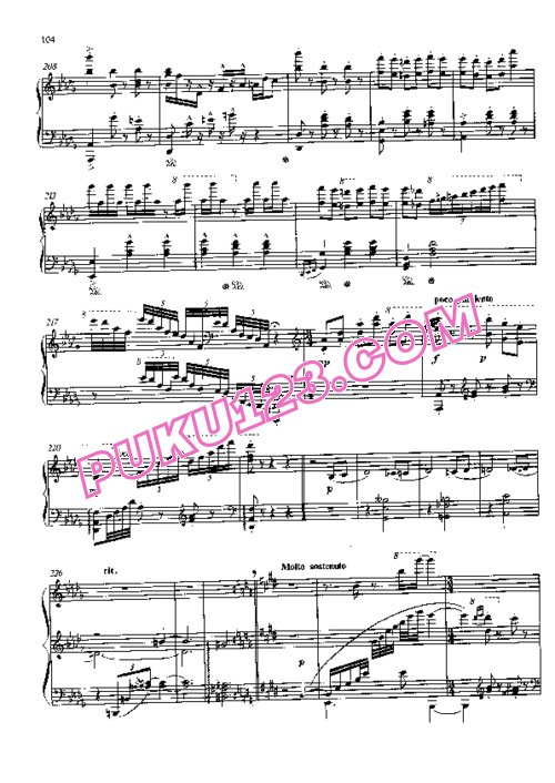 天天钢琴网-免费下载Strauss - Cziffra - An Der Schonen Blauen Donau Op.314 齐夫拉改编钢琴独奏版