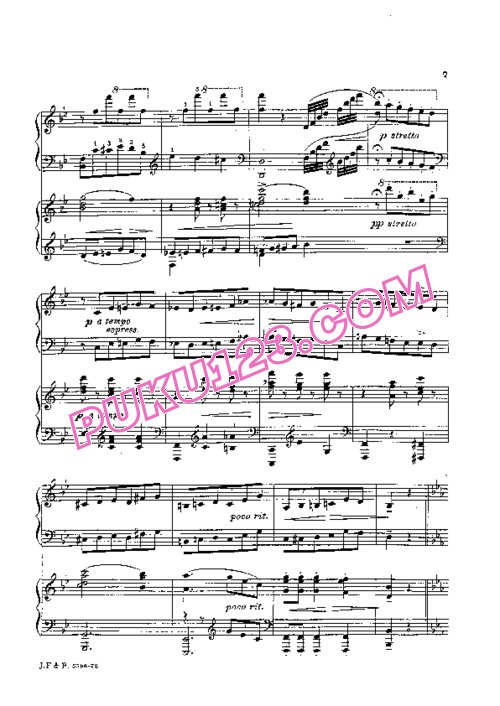 天天钢琴网-免费下载Strauss J. - Chasins - The Blue Danube Waltzer - 2 Pianos 蔡辛斯改编双钢琴版