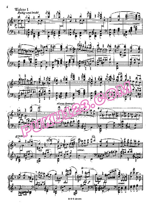 天天钢琴网-免费下载Johann Strauss - Giesen - Roses from the South Op.388 吉森改编钢琴独奏版