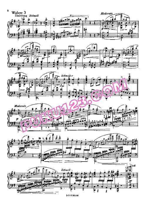 天天钢琴网-免费下载Johann Strauss - Giesen - Roses from the South Op.388 吉森改编钢琴独奏版