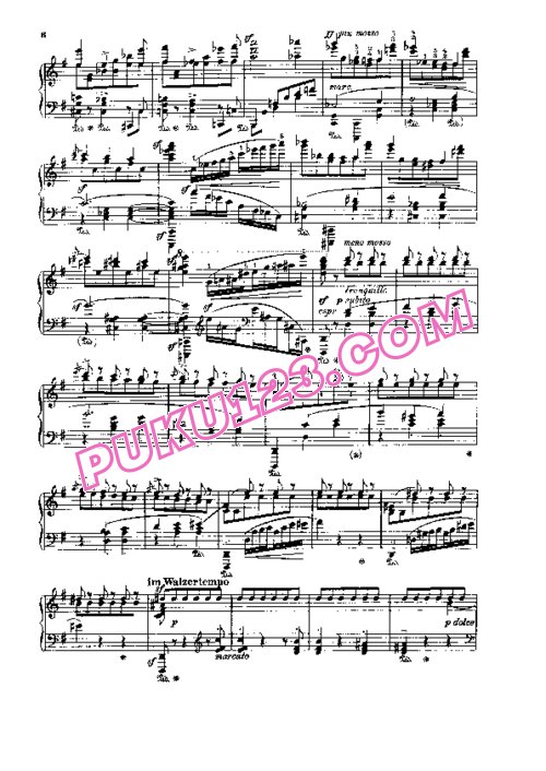 天天钢琴网-免费下载Johann Strauss - Godowsky - Metamorphose on Wine, Women and Song 戈多夫斯基改编钢琴独奏版