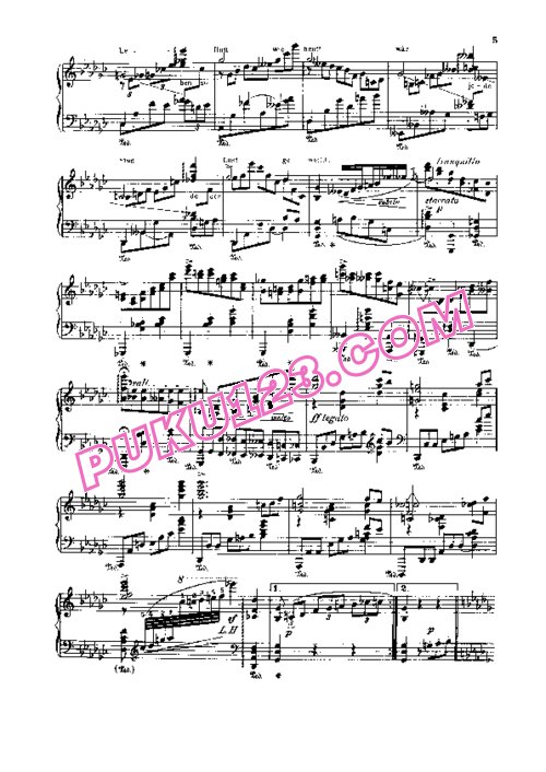 天天钢琴网-免费下载Johann Strauss - Godowsky - Metamorphos on Fledermaus 戈多夫斯基改编钢琴独奏版