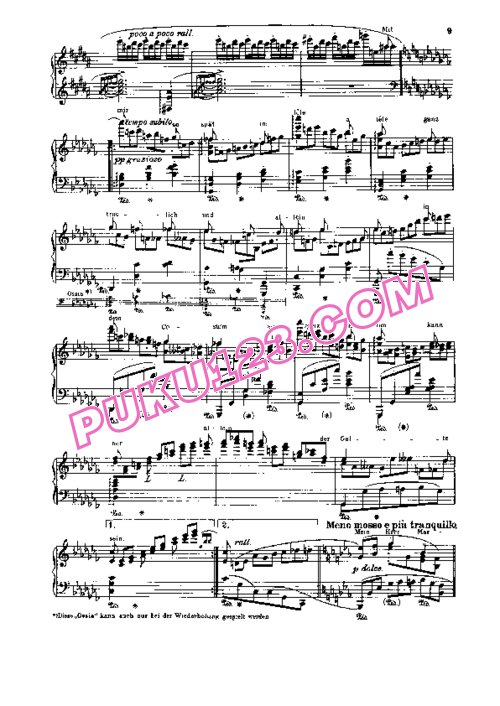 天天钢琴网-免费下载Johann Strauss - Godowsky - Metamorphos on Fledermaus 戈多夫斯基改编钢琴独奏版