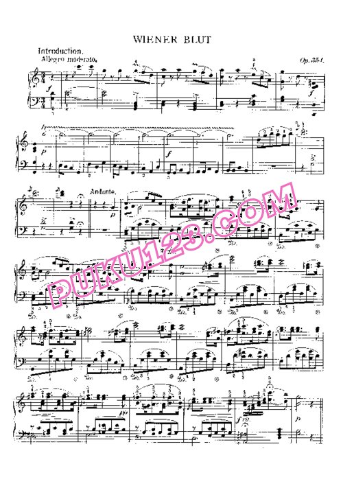 天天钢琴网-免费下载Strauss, Johan - Wiener Blut Op.354 钢琴独奏版