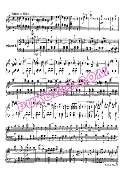 天天钢琴网-免费下载Strauss, Johan - Wiener Blut Op.354 钢琴独奏版