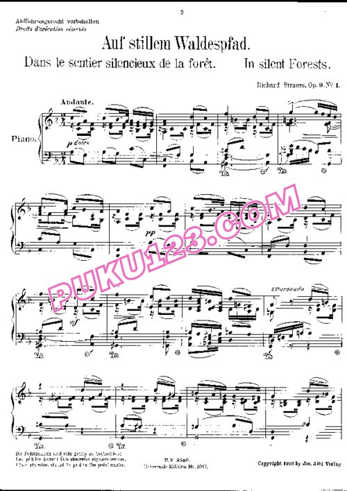 天天钢琴网-免费下载Strauss, Richard - Stimmungsbilder Op.9