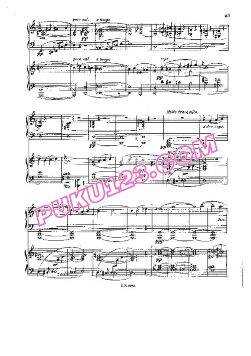 天天钢琴网-免费下载Strauss - Singer - Don Juan Op.20 - 2 Pianos