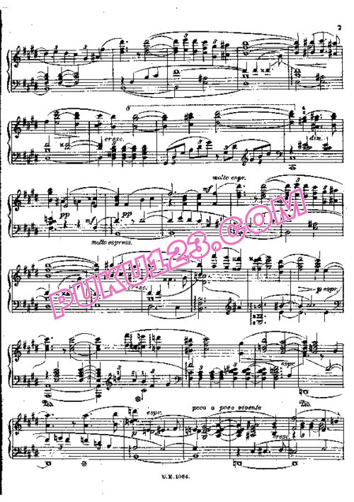 天天钢琴网-免费下载Strauss - Singer - Don Juan Op.20 - Solo Piano