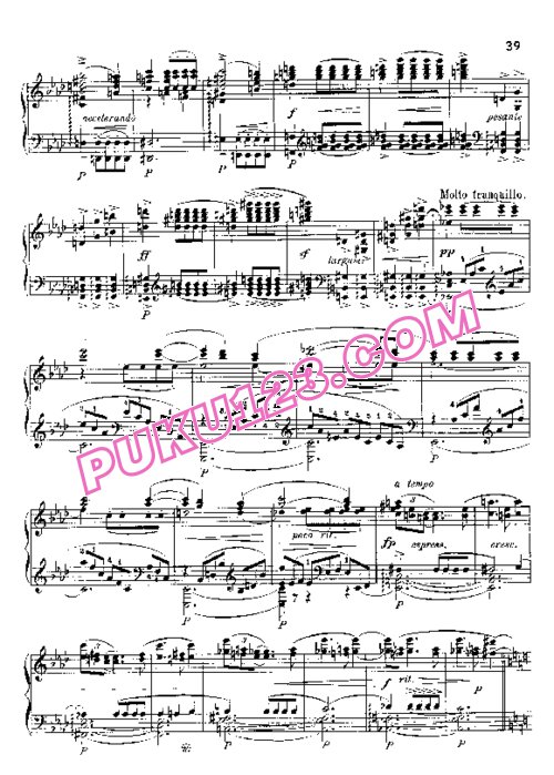 天天钢琴网-免费下载Suk - Fantaisie Polonaise Op.5