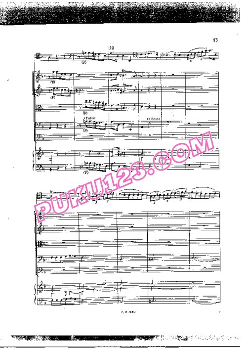 天天钢琴网-免费下载Vivaldi - Bassoon Concerto No.19 in F Major RV 488 总谱